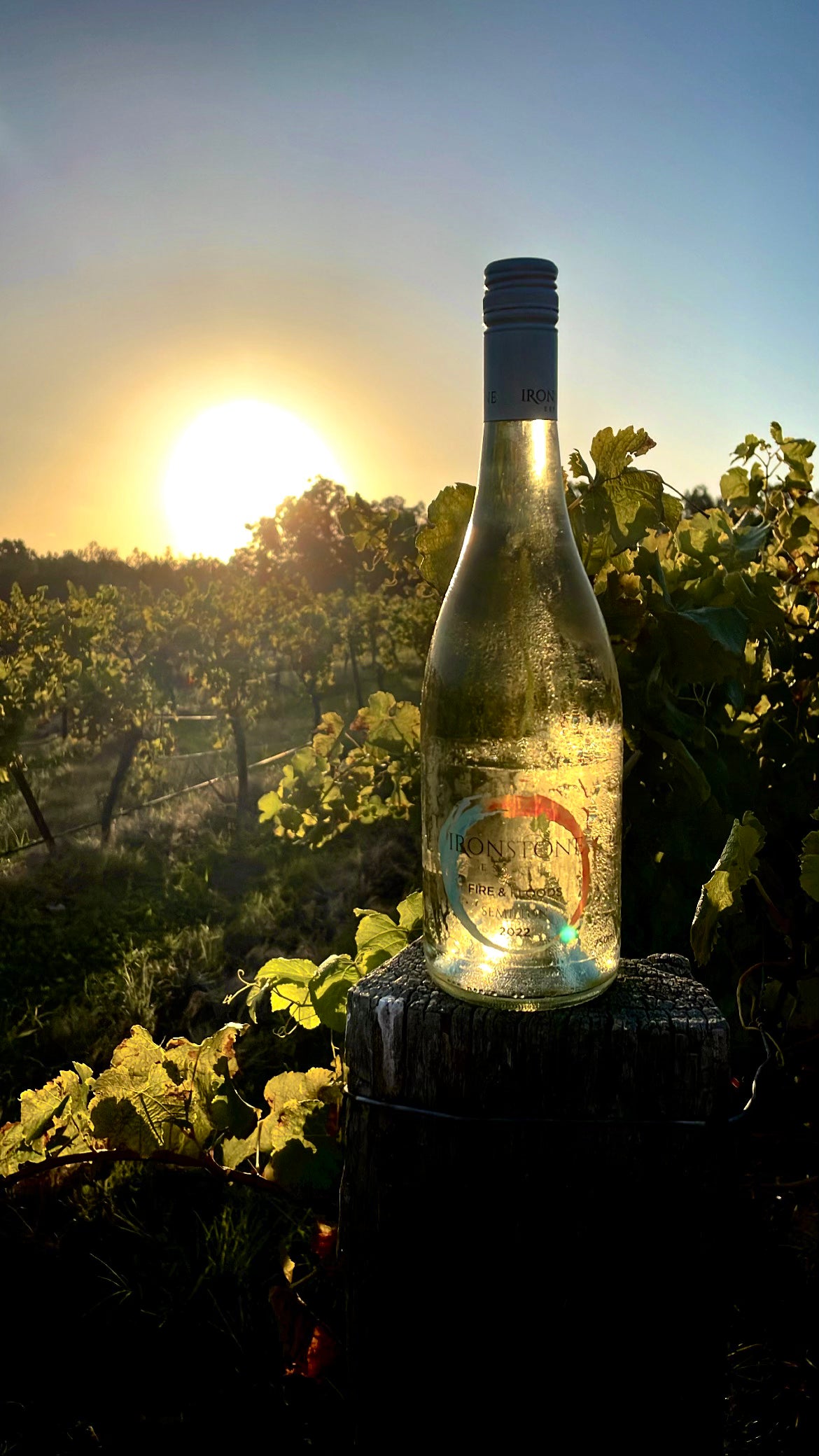 2022 Fire and Flood Semillon Wine | Ironstone Estate