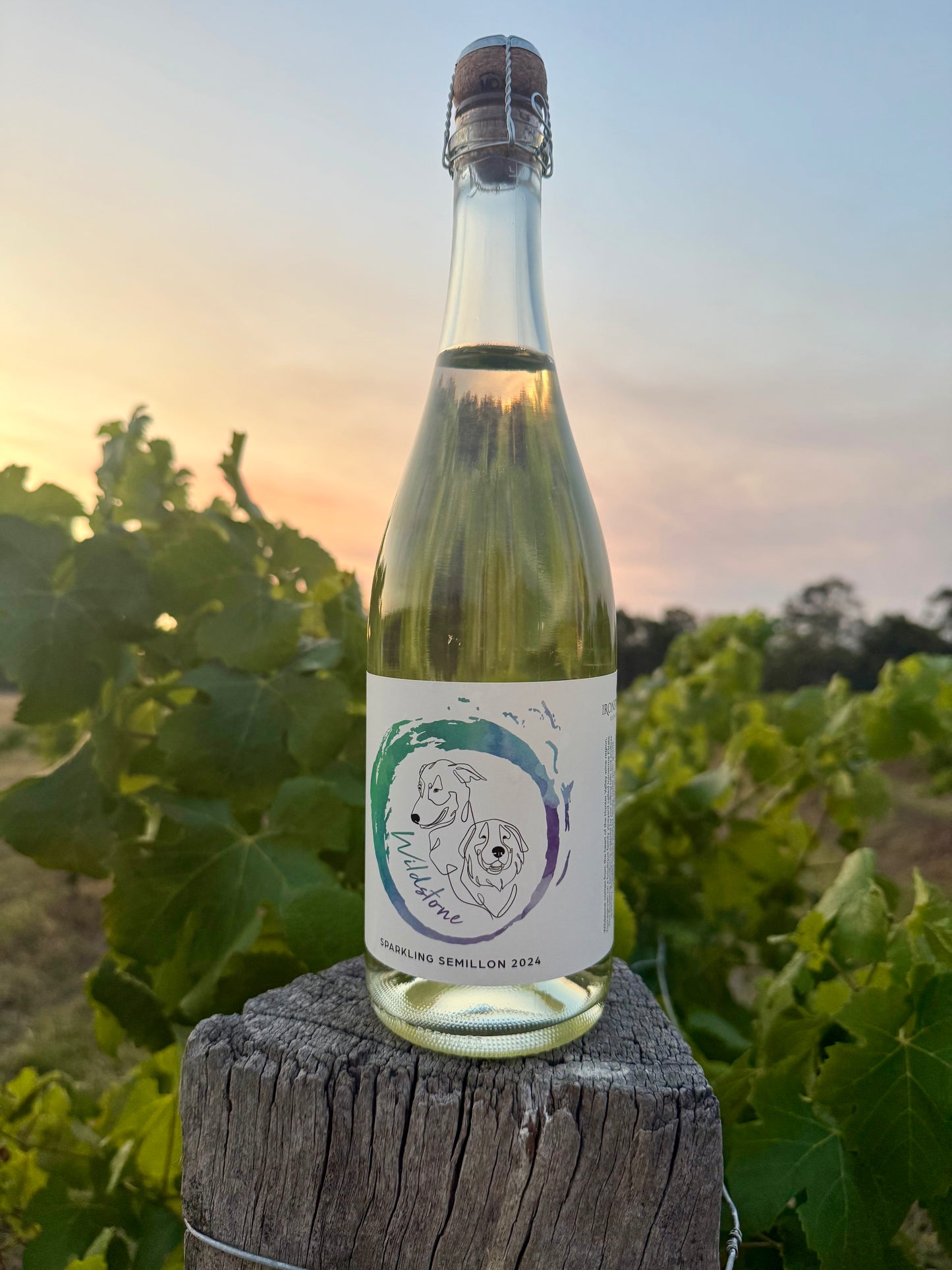 “Wildstone Sparkling” Hunter Valley Semillon 2024 Wine Ironstone Estate
