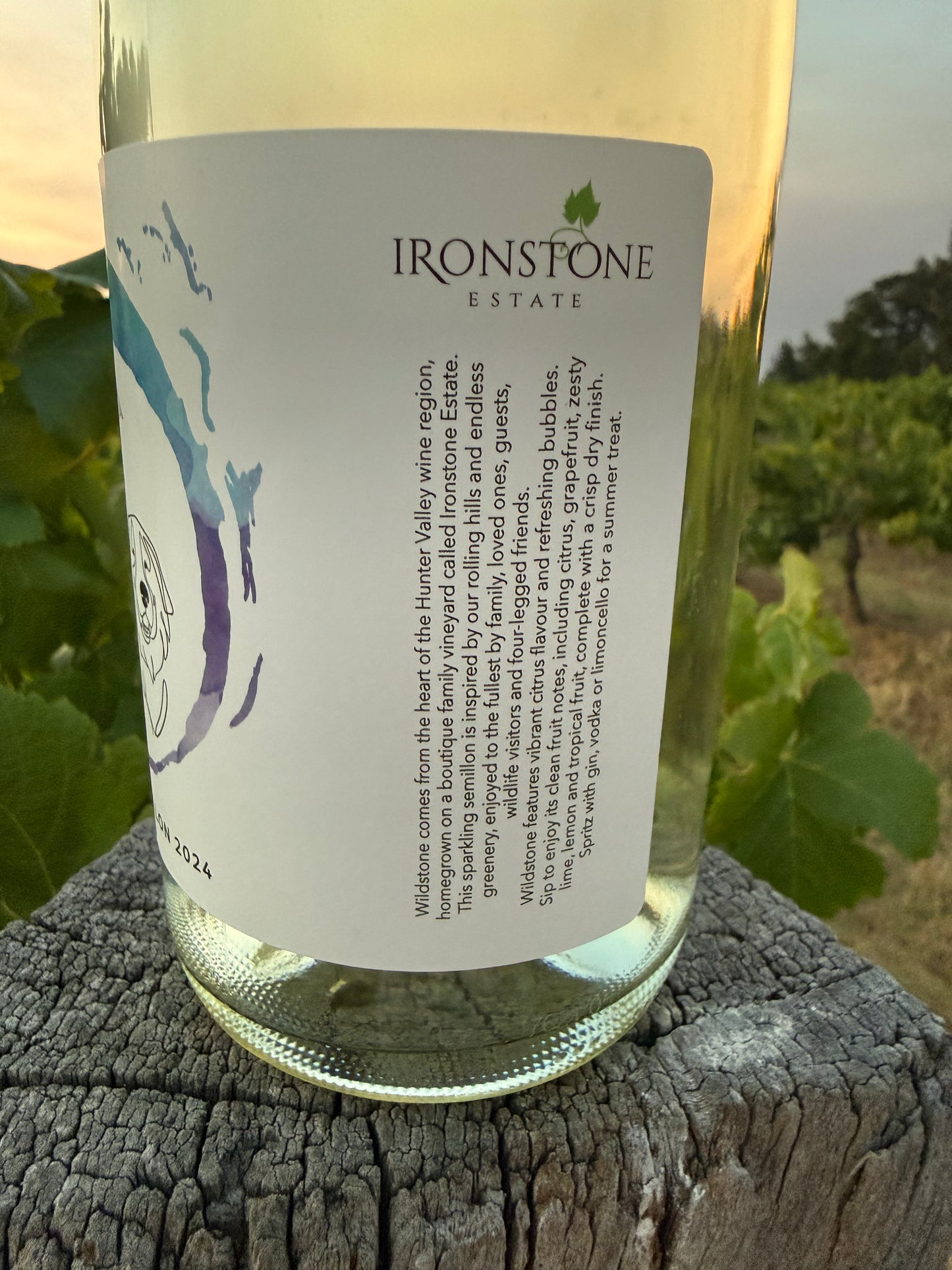 “Wildstone Sparkling” Hunter Valley Semillon 2024 Wine Ironstone Estate