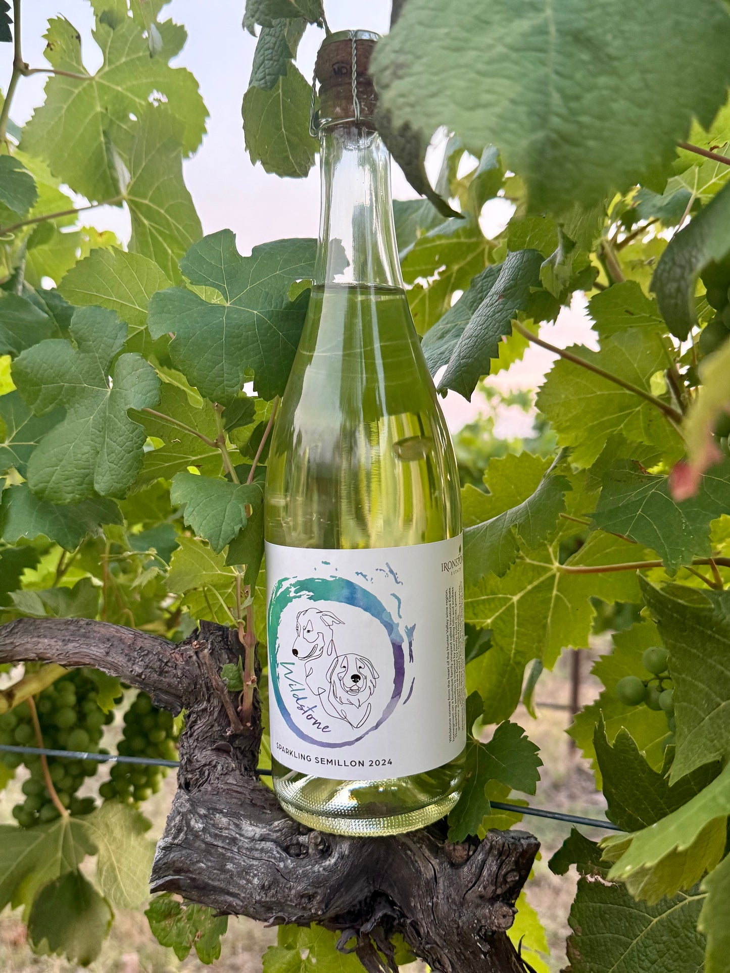 “Wildstone Sparkling” Hunter Valley Semillon 2024 Wine Ironstone Estate