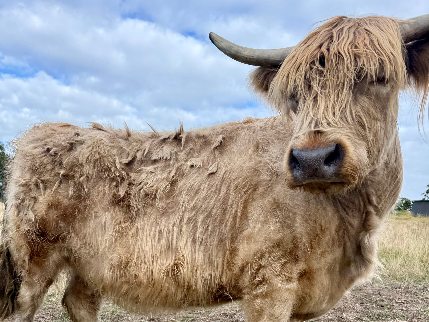 Farm stay accommodation Lovedale hunter valley 